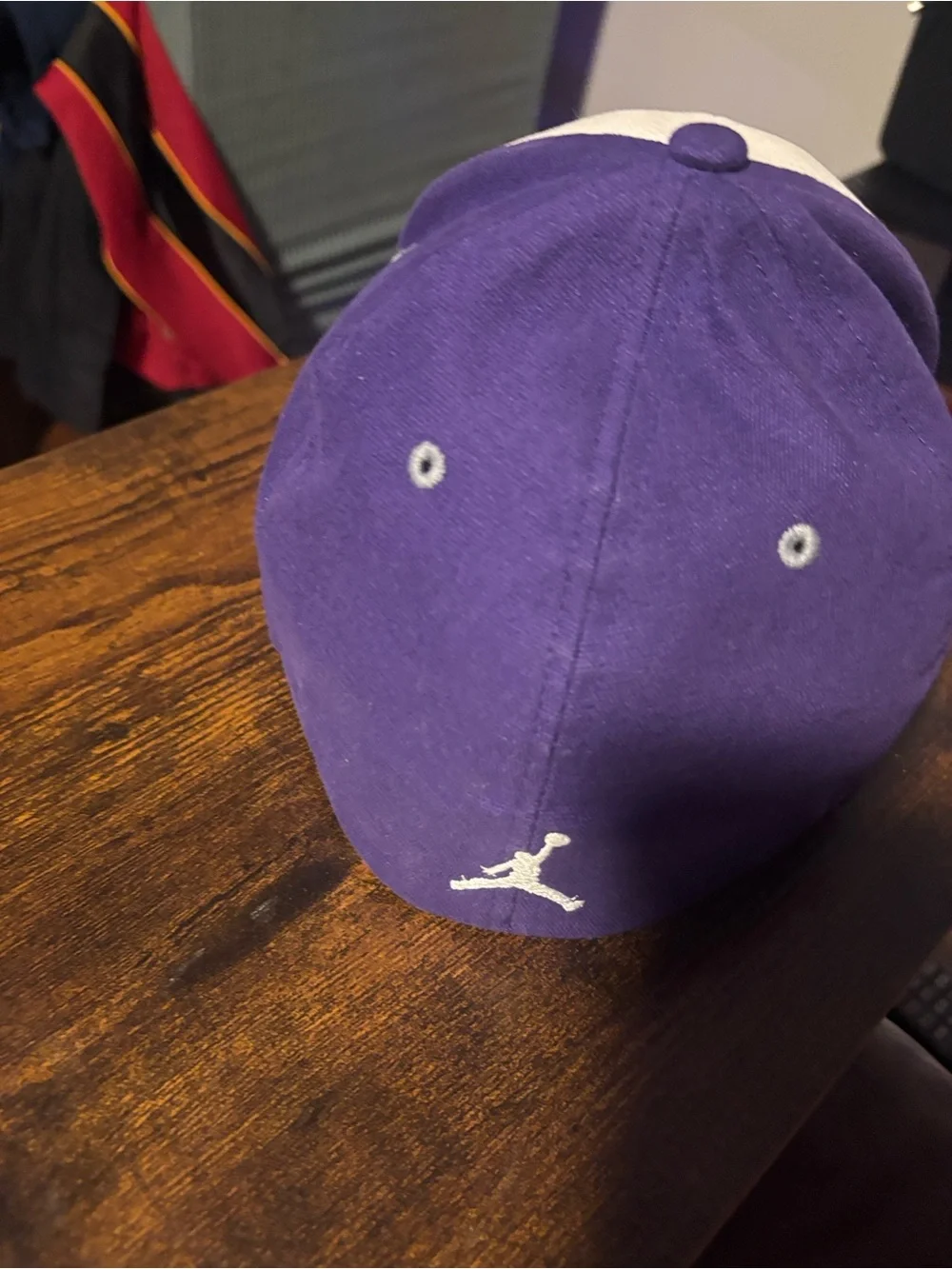 Jordan Charlotte Hornets Panel Cap in Purple, Cream & Gray